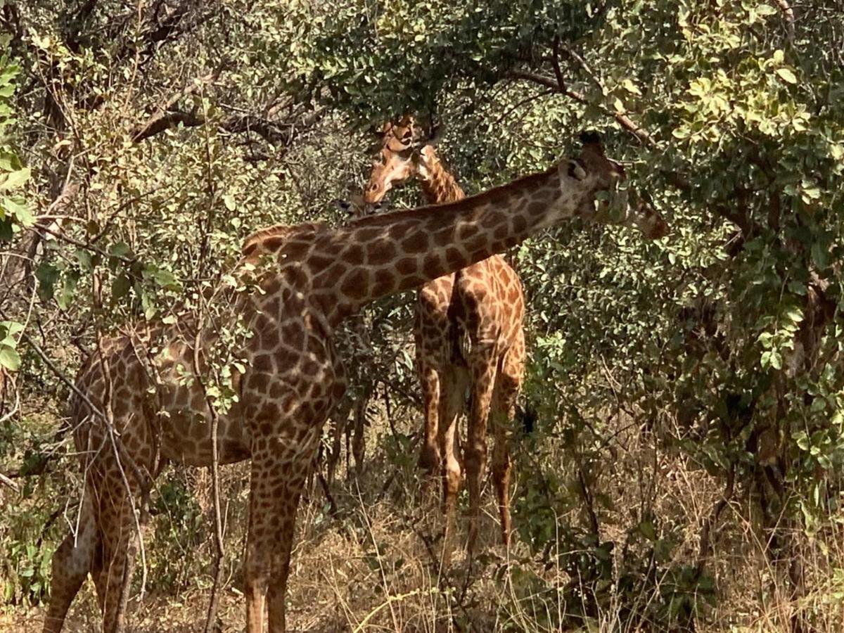 Pombo Kunda Villa Sanyang Esterno foto