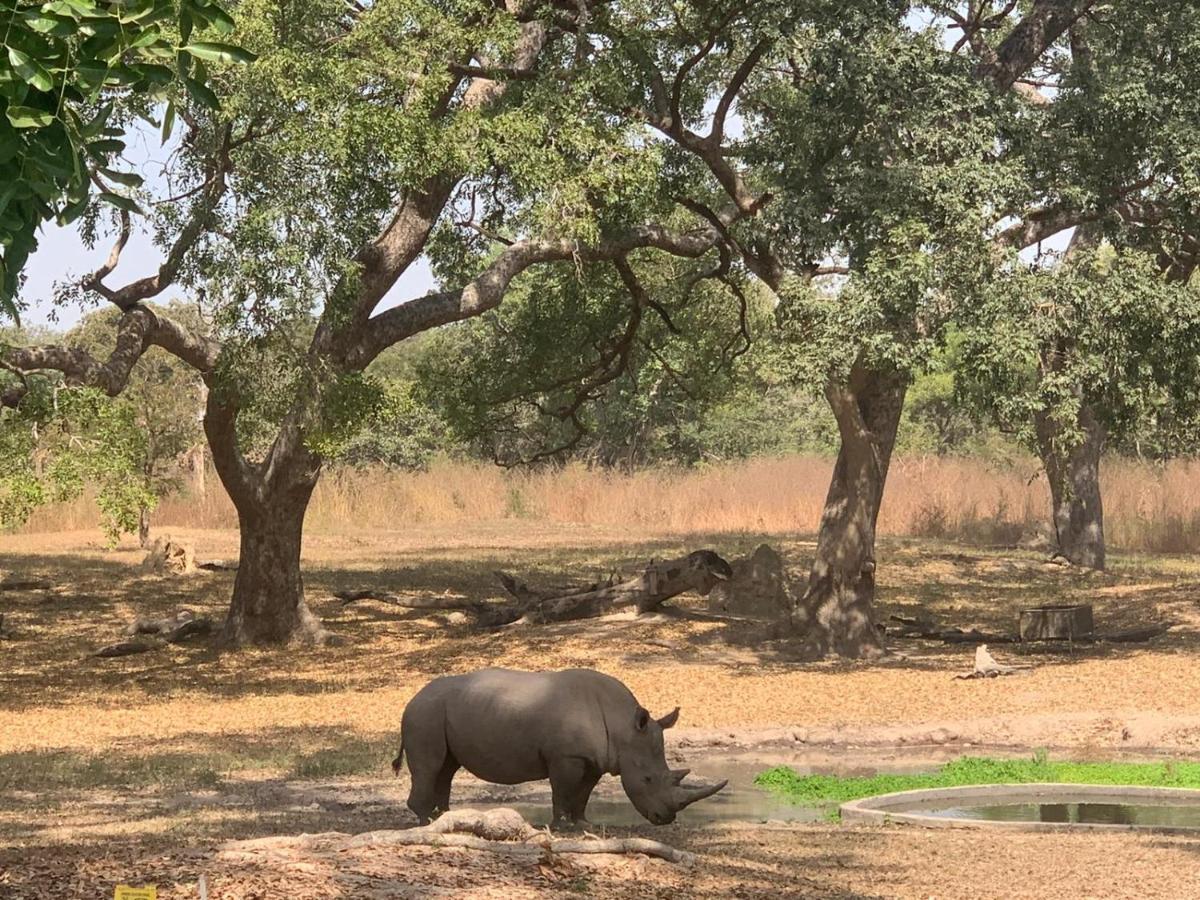 Pombo Kunda Villa Sanyang Esterno foto