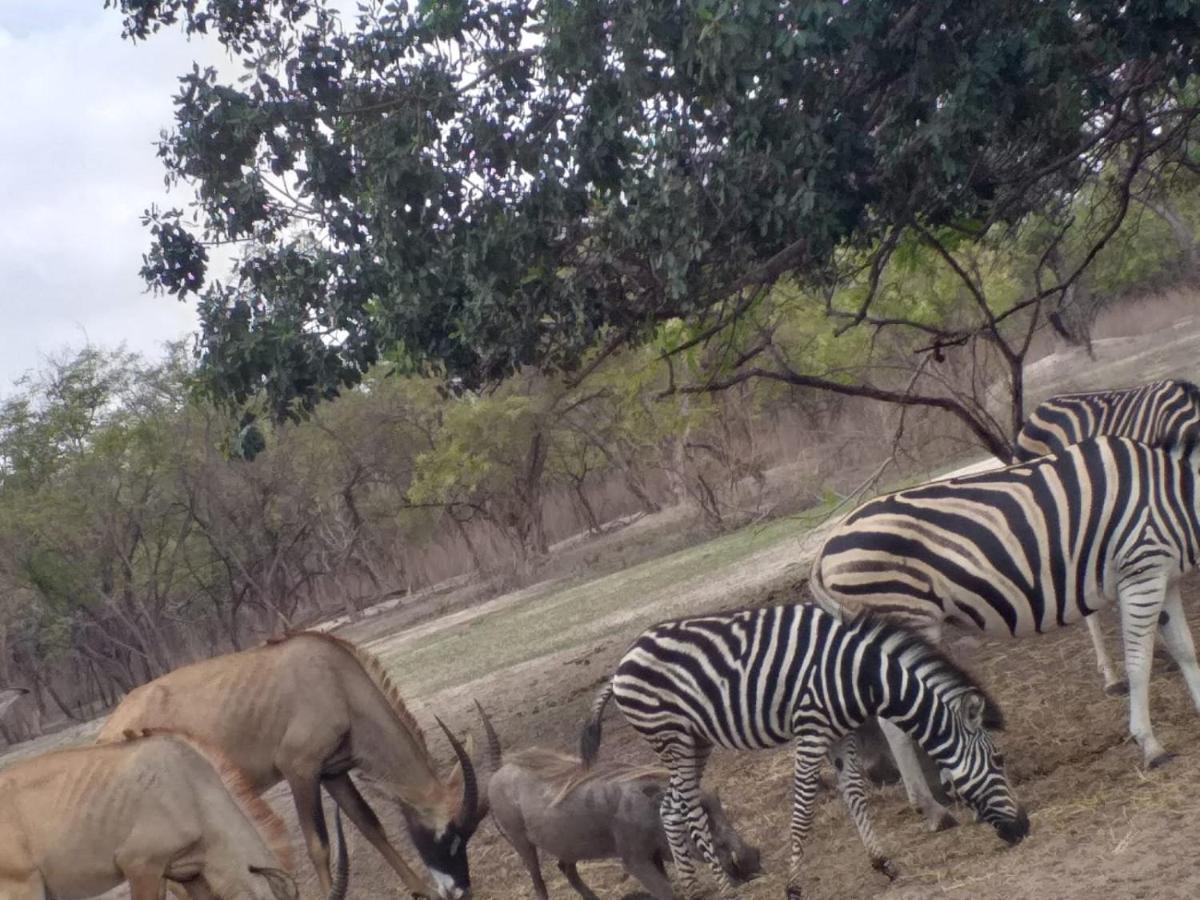 Pombo Kunda Villa Sanyang Esterno foto