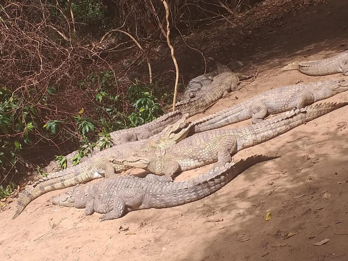 Pombo Kunda Villa Sanyang Esterno foto