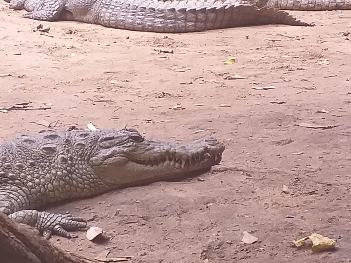 Pombo Kunda Villa Sanyang Esterno foto