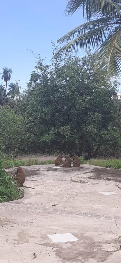 Pombo Kunda Villa Sanyang Esterno foto