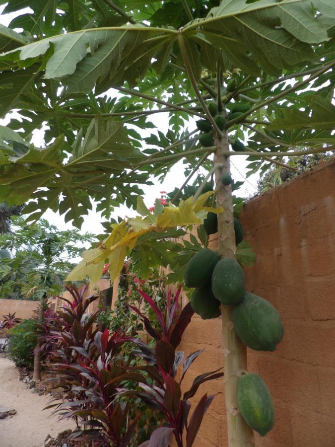 Pombo Kunda Villa Sanyang Esterno foto