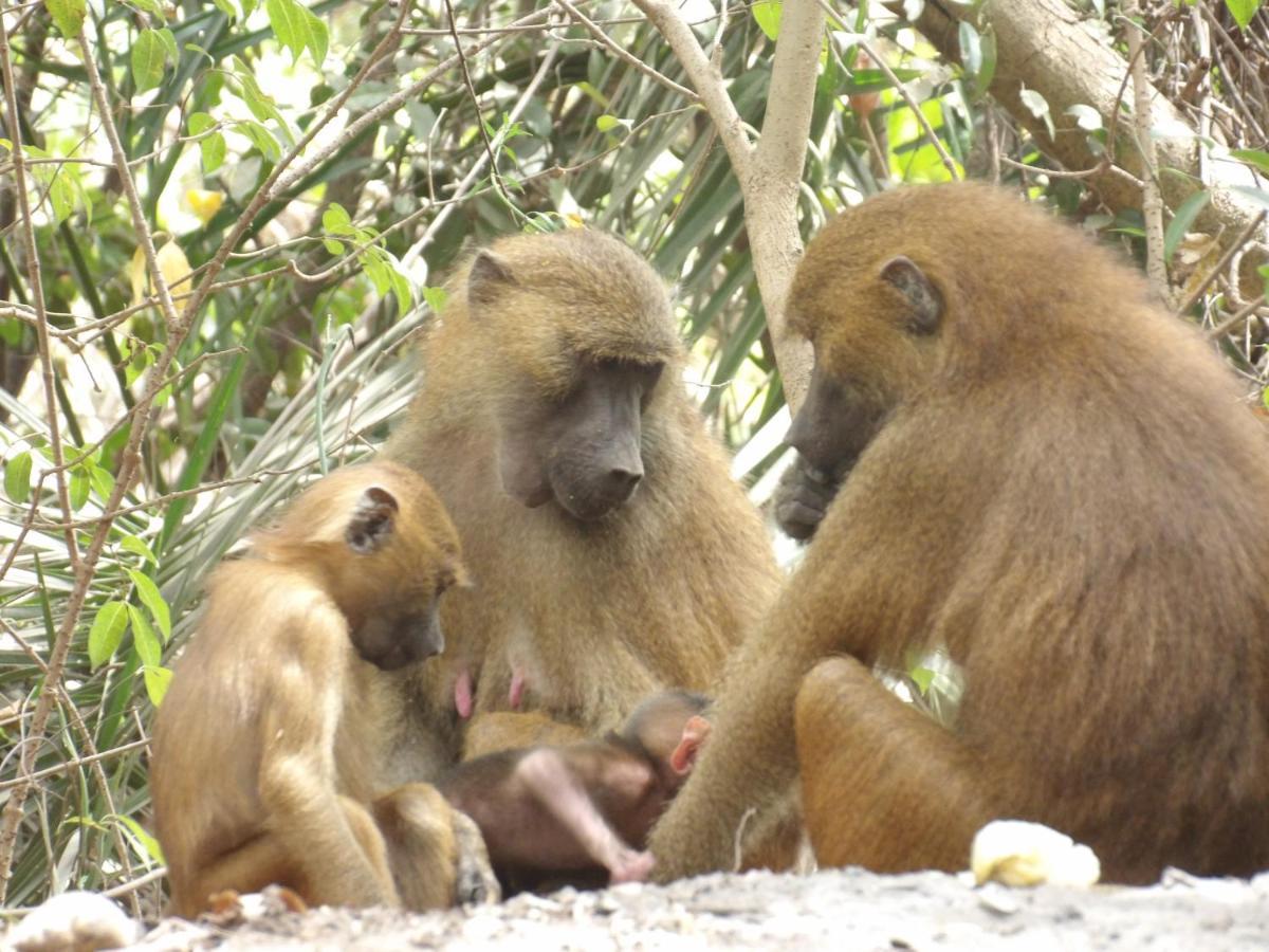 Pombo Kunda Villa Sanyang Esterno foto