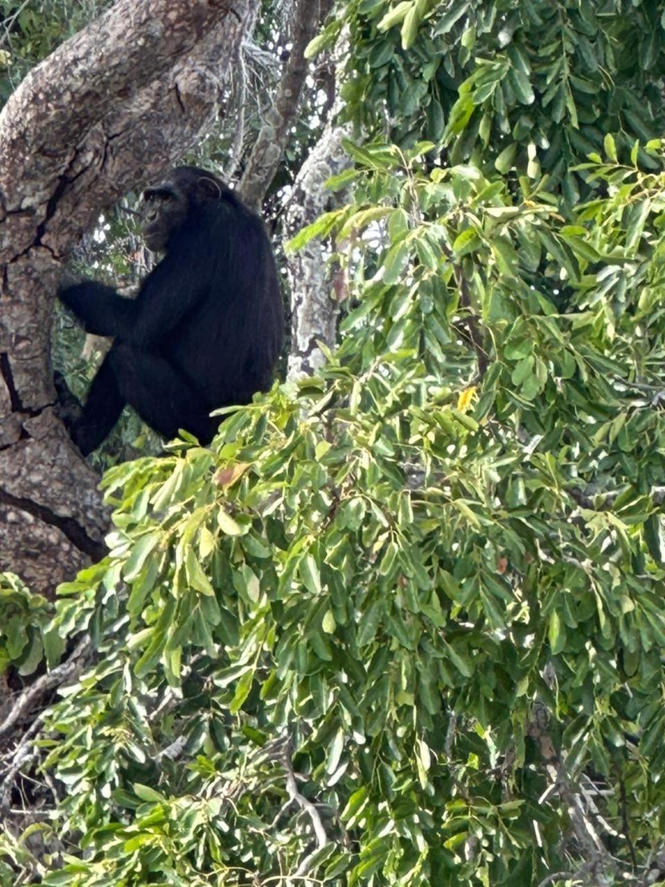 Pombo Kunda Villa Sanyang Esterno foto